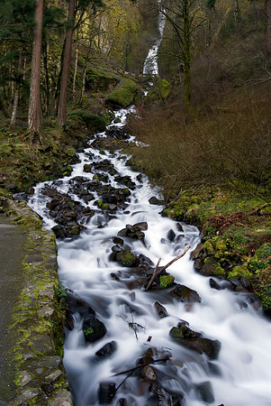Below Wahkeena Falls