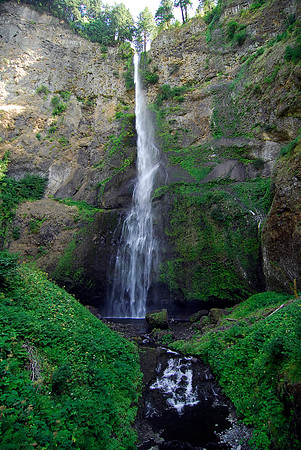Multnomah Falls XI