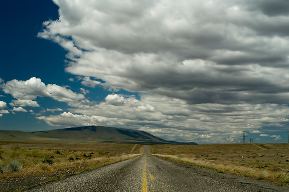 The Road to Rattlesnake