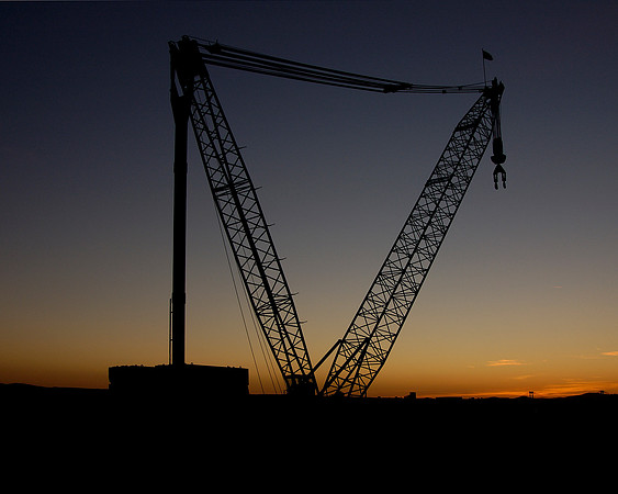 Standing Tall