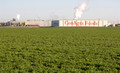 ConAgra Foods - Pasco