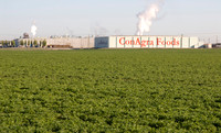 Industry