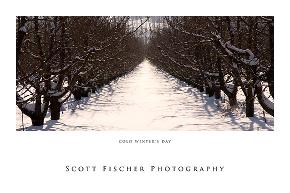 Cold Winter's Day