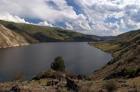 SC052409-0118