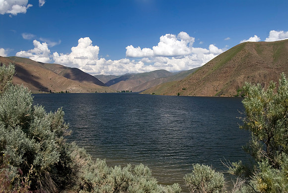 SC052409-0017