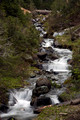 Mount Rainier Stream IV