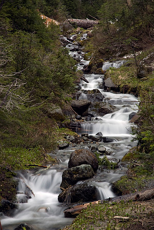 Mount Rainier Stream IV