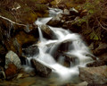 Mount Rainier Stream II