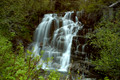 Stevens Creek