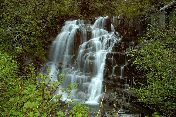 Stevens Creek
