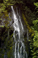 Mount Rainier Waterfall