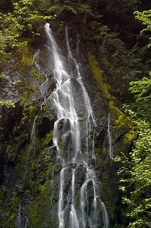 Mount Rainier Waterfall
