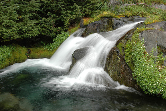Mount Rainier Stream