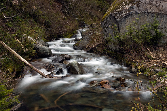 Mount Rainier Stream III