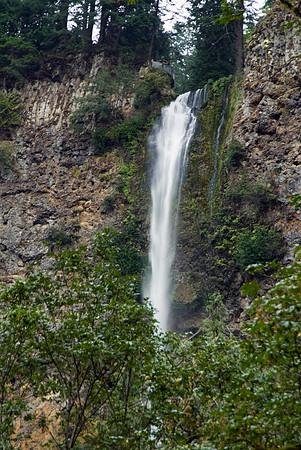 Multnomah Falls XII