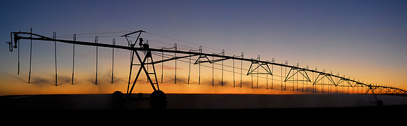 Sprinkler Pivot at Sunset