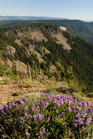 Timberwolf Mountain Lookout