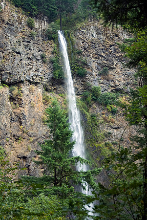 Multnomah Falls XIV