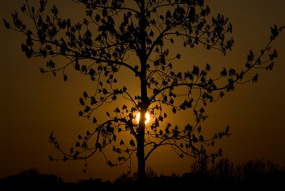Columbia Point Sunset