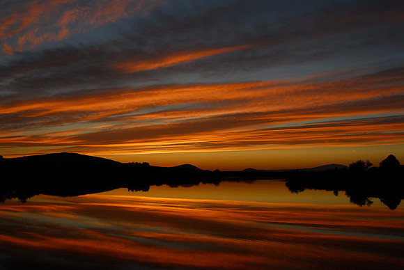 Freedom Sunset