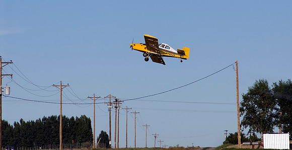 Crop Dusting IV