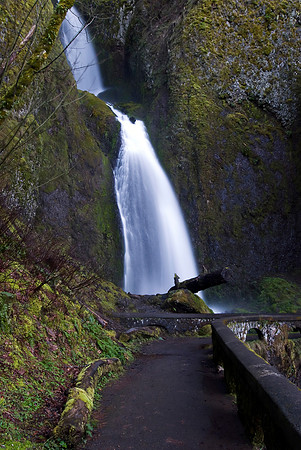 Wahkeena Falls I