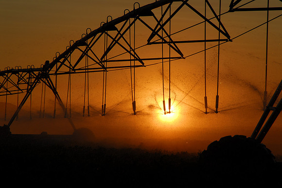 Crop Sprinklers