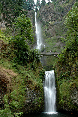 Multnomah Falls V