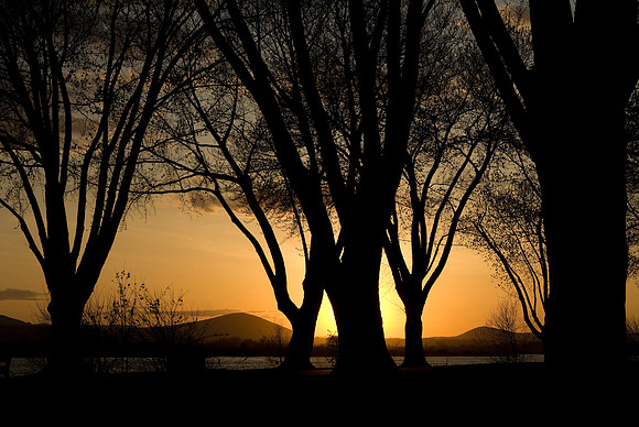 Chiawana Park Sunset