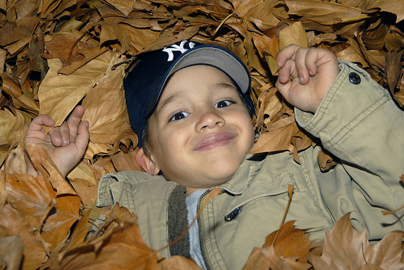 Playing in the Leaves