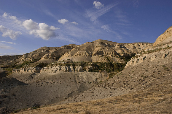 White Bluffs