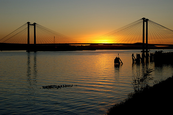 Cable Bridge Sunset
