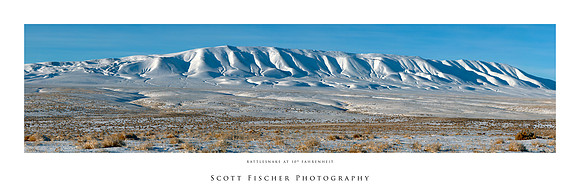 Rattlesnake at 10 Degrees Fahrenheit
