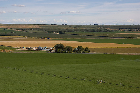 Pasco Crop Fields