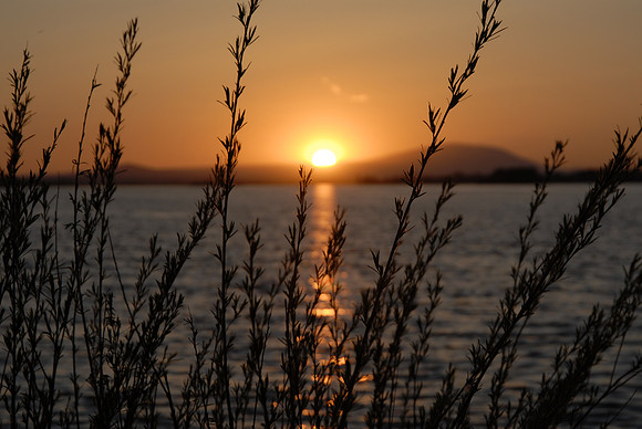 Spring Sunset Over the Columbia