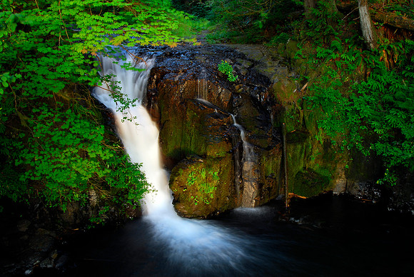 At the Top of Multnomah Falls