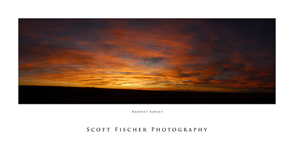 Harvest Sunset