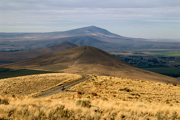 SC122008-0093