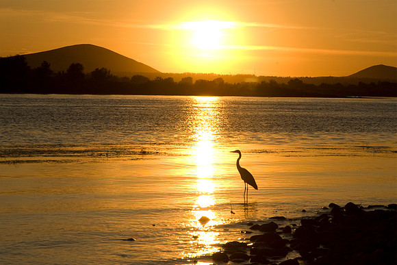 Serenity