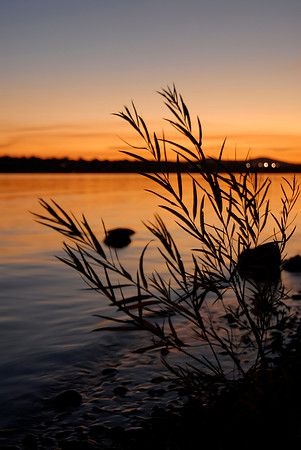 Columbia River I